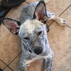 Meet your Posher, Tracy